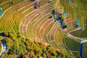 petites-arvines-de-fully-La Combe dEnfer 2