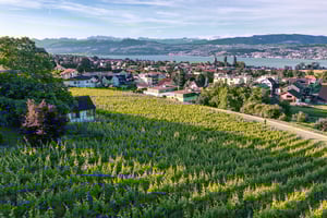 Weingut_JET