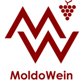 305_Moldowein