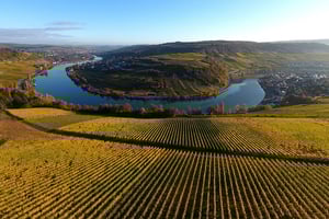 Die besten Weinberge liegen auf einer Höhe von 150 bis 200 Metern und profitieren von ausgeglichenen klimatischen Bedingungen. © Carlo Rinnen