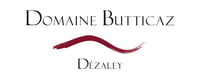 LogoButticaz_6728fc3e-87bc-4ae9-90b0a9ff4a3932f3
